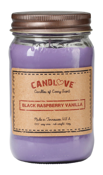Black Raspberry Vanilla 16 oz. Candles